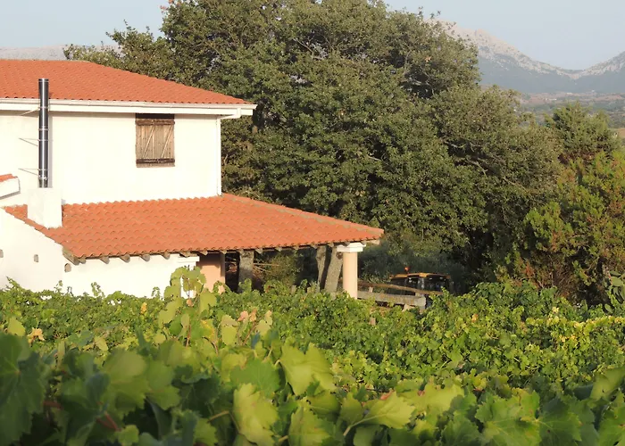 فندق Su Lithu 4*